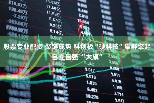 股票专业配资 聚链成势 科创板“硬科技”集群擎起自立自强 “大旗”
