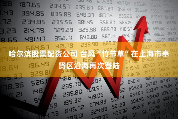 哈尔滨股票配资公司 台风“竹节草”在上海市奉贤区沿海再次登陆
