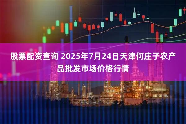股票配资查询 2025年7月24日天津何庄子农产品批发市场价格行情
