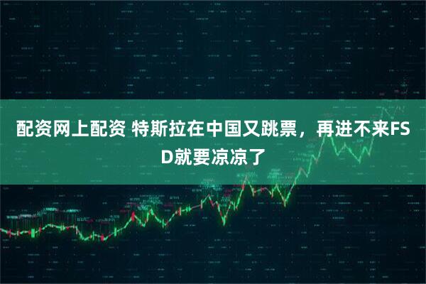配资网上配资 特斯拉在中国又跳票，再进不来FSD就要凉凉了
